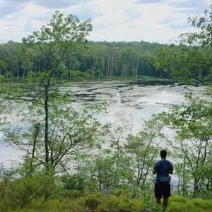 Meet your Posher, Jarrett