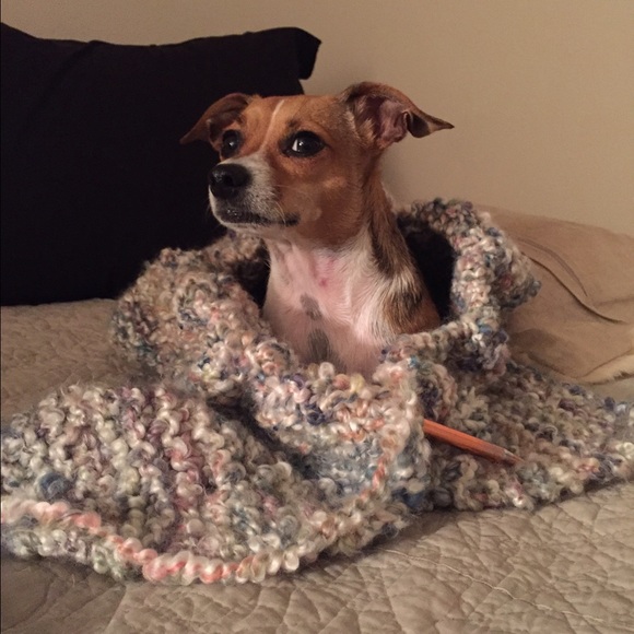 Surfer. Mudder. Harley Quinn. Posher. Dana. - Picture 2 of 4