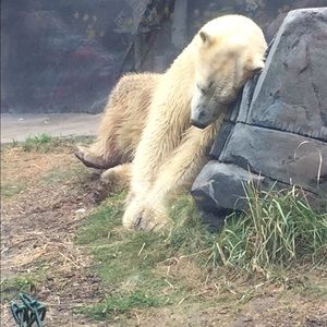 Meet your Posher, Stormi