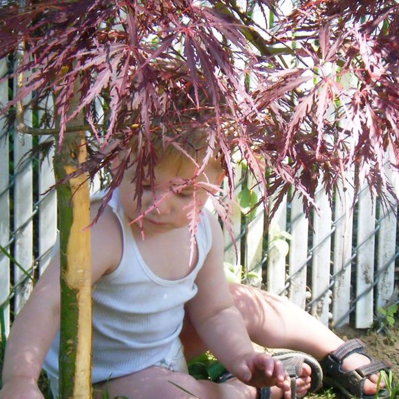 Meet your Posher, Angela - Picture 1 of 1