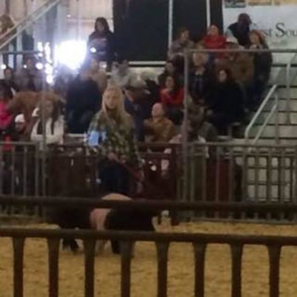 Meet your Posher, Sydni - Picture 1 of 1