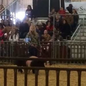 Meet your Posher, Sydni