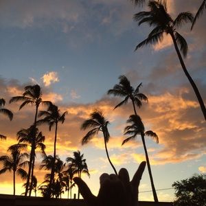 Meet your Posher, Cathy