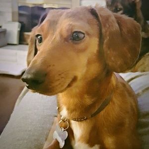 Meet your Posher, Caitlin