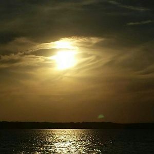 Meet your Posher, Ariel