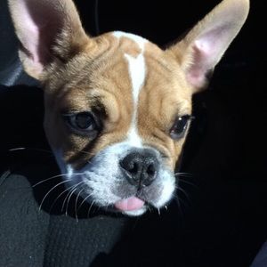 Meet your Posher, Marien