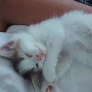 Meet your Posher, Joshua