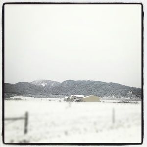 Meet your Posher, Jodi