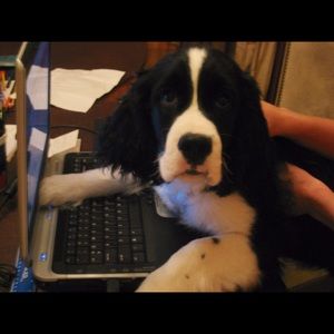 Meet your Posher, Audrey