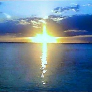 Meet your Posher, Pam