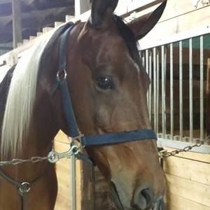 Meet your Posher, Lori