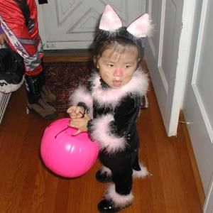 Meet your Posher, Susan