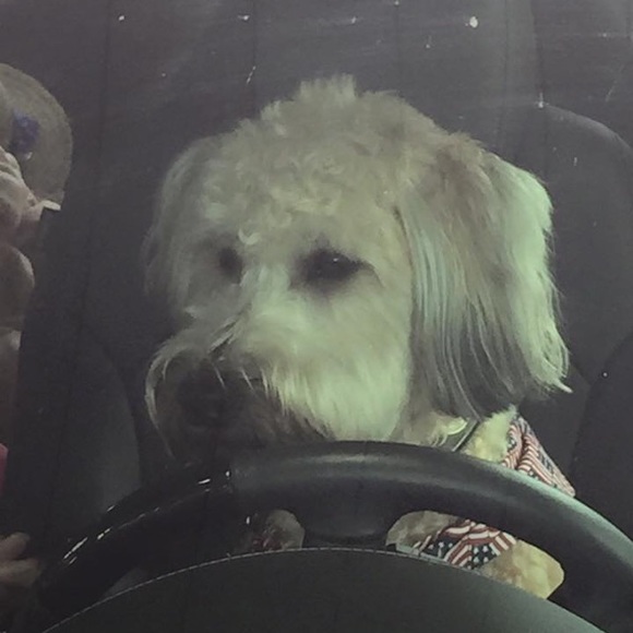 Meet your Posher, Corrine