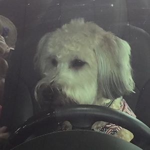 Meet your Posher, Corrine