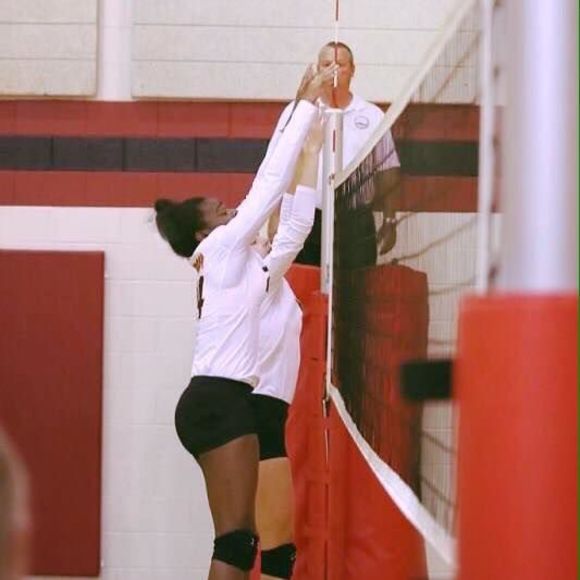 Meet your Posher, Lexy - Picture 1 of 1