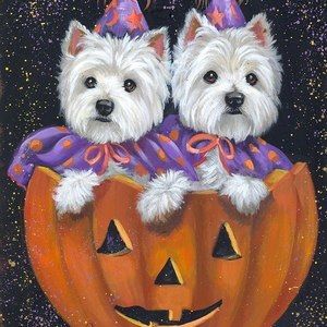 Meet your Posher, Cathy