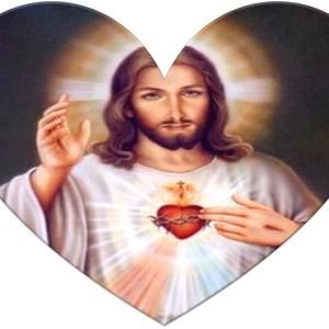 Meet your Posher, Narciso