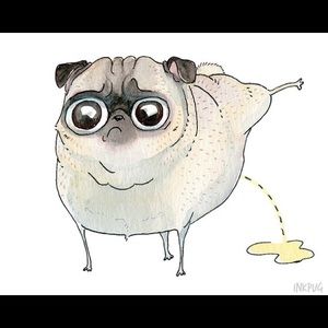 Meet your Posher, Robin