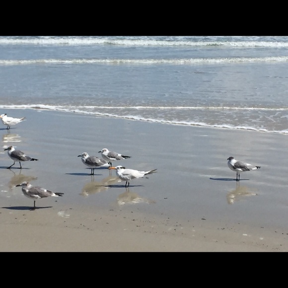 πLOVER OF LIFE!! - Picture 3 of 4