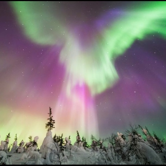 Make me an offer! ✨ Bundle for more savings ✨ - Picture 2 of 4