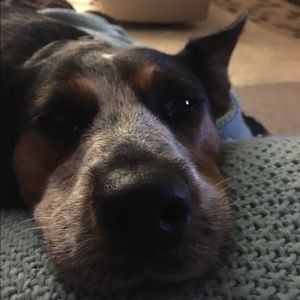 Meet your Posher, Destiny