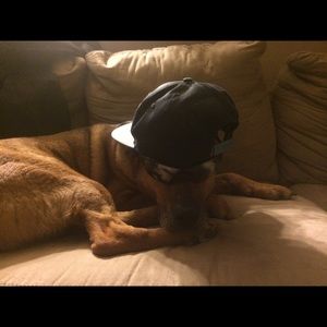 Meet your Posher, Miranda