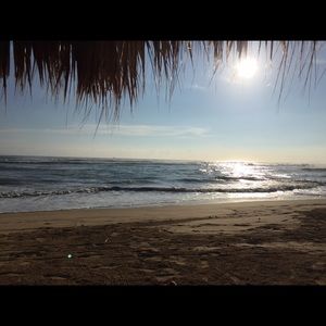 Meet your Posher, Jadee