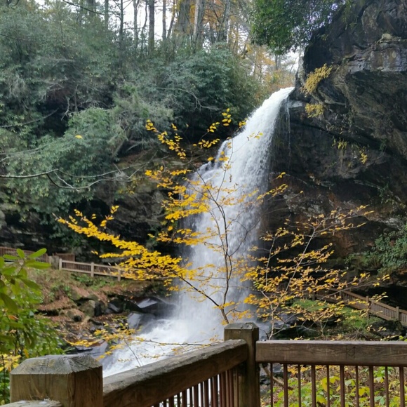 Meet your Posher, Heidi