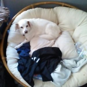 Meet your Posher, Derrick