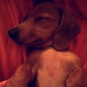 Meet your Posher, Grace