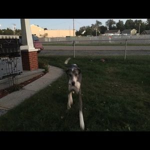 Meet your Posher, Sam