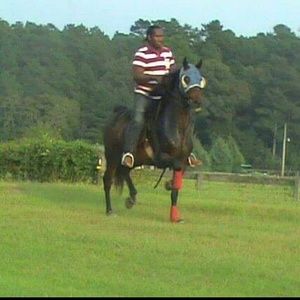 Meet your Posher, Jason