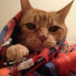 Meet your Posher, Lourdes