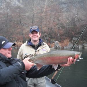 Meet your Posher, A.j.