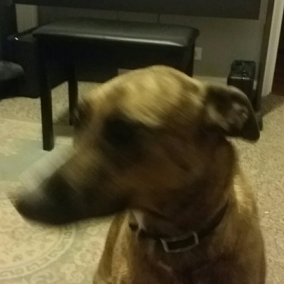 Meet your Posher, Shelly - Picture 1 of 1