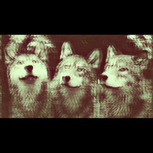 Meet your Posher, Cameron