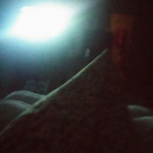 Meet your Posher, Barbara