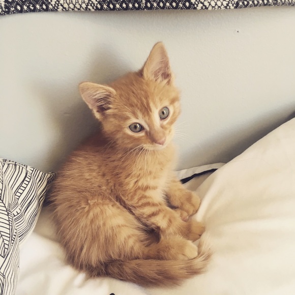 Nice to meet you! - Picture 3 of 4