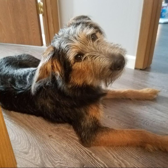 Nice to meet you! - Picture 4 of 4