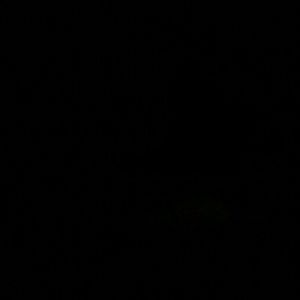 Meet your Posher, Delfy