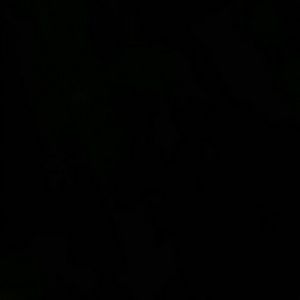 Meet your Posher, Latisha