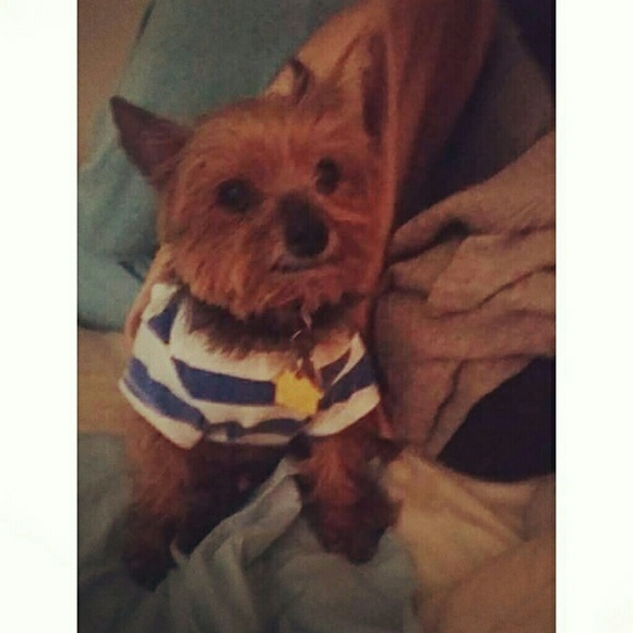 Meet your Posher, Shaan - Picture 3 of 3