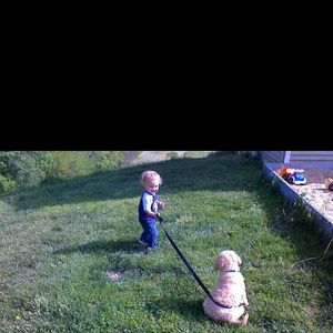 Meet your Posher, Tracy lea