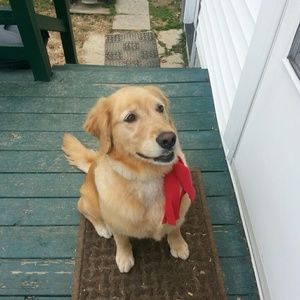 Meet your Posher, Laura