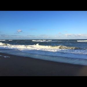 Meet your Posher, Carol