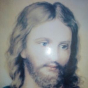 Meet your Posher, Paul