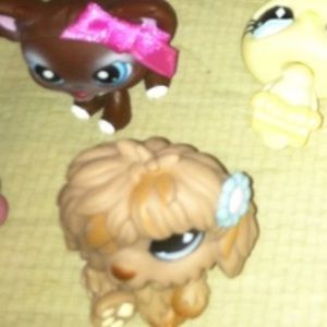 Lps pets bundle for @lainydunn