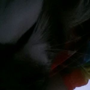 Meet your Posher, Veronica