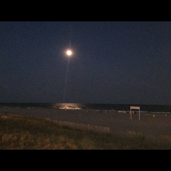 Meet your Posher, Brynn - Picture 1 of 1