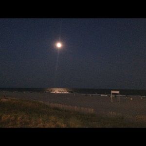 Meet your Posher, Brynn